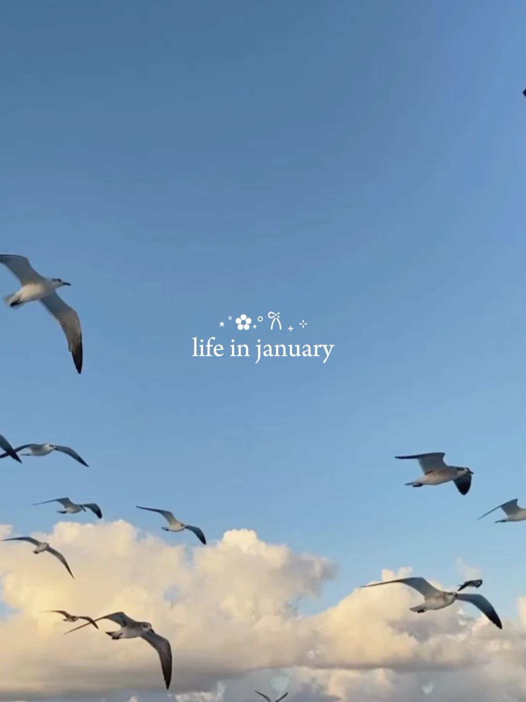 Vida em janeiro