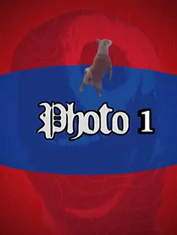 Dogs template eidt 