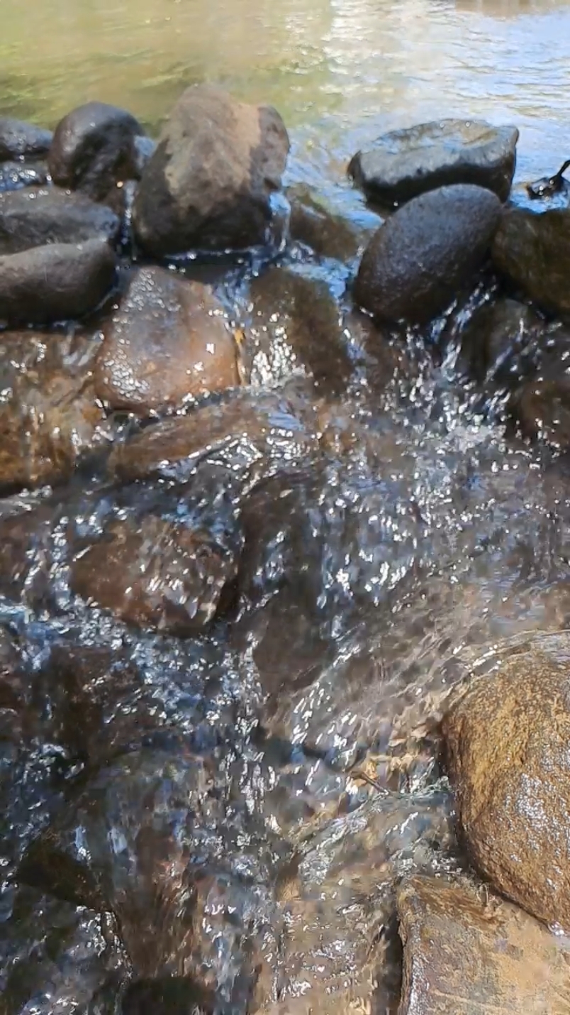 Video de fondo