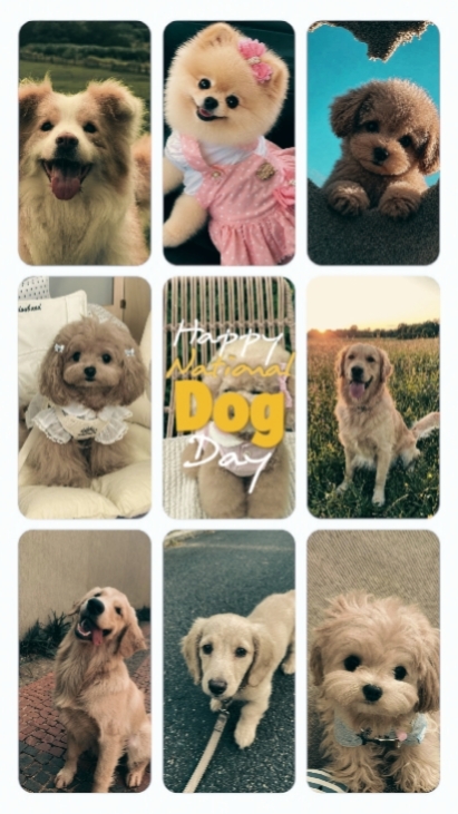National Dog Day 