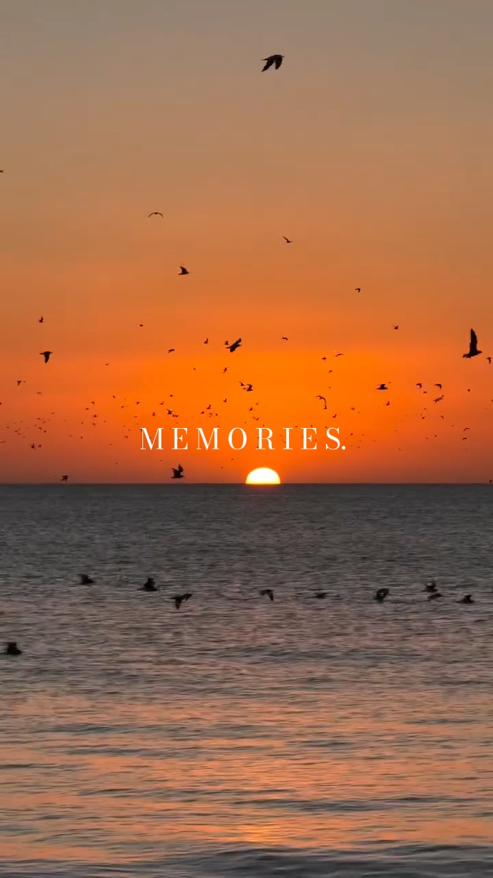 memories. 