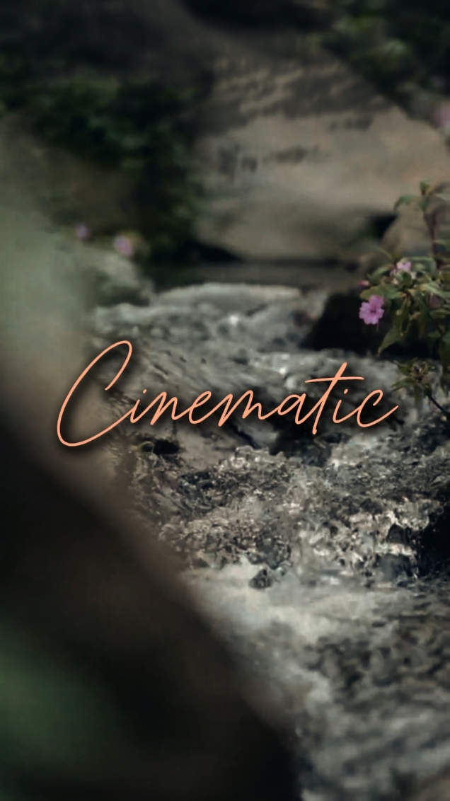 nature cinématographique