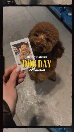National Dog Day