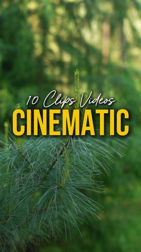 CINÉMATIQUE 10 VIDÉOS