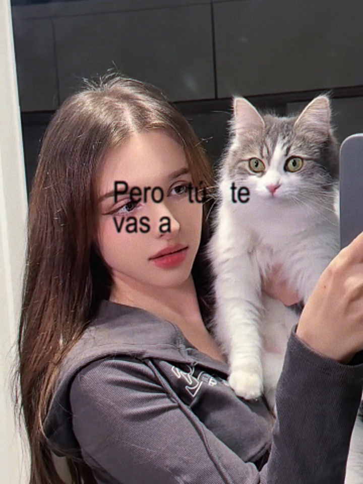 VOY A LLeVARTE PA PR
