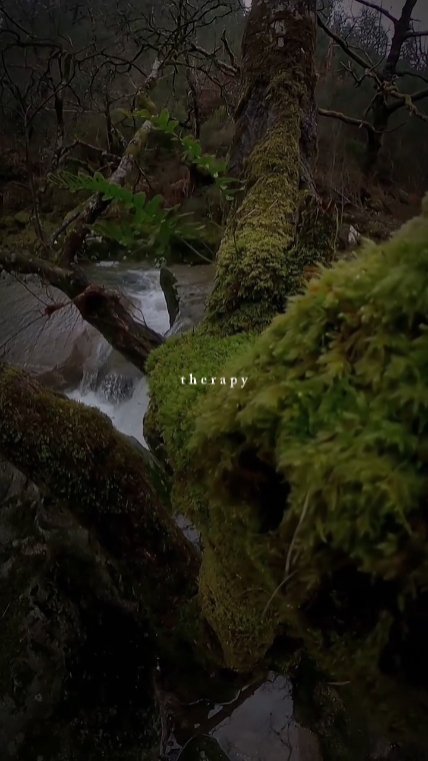 therapy