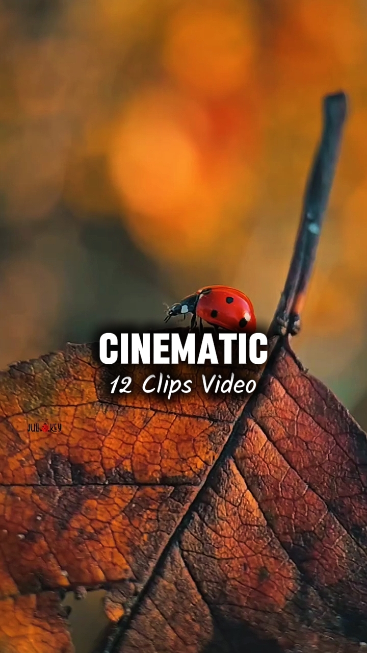 12 CLIPS VIDEO 
