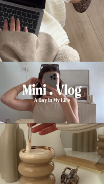 vlog mini