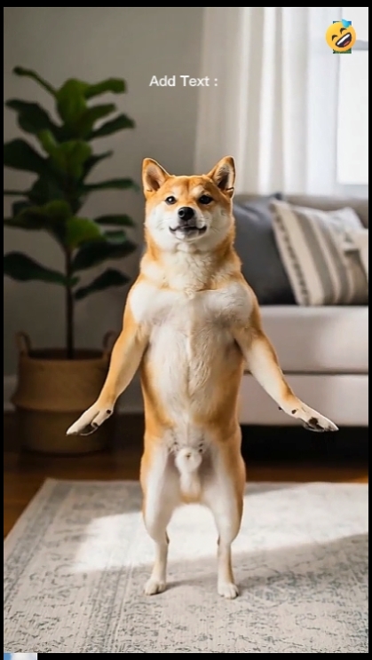 Lustiger Hund