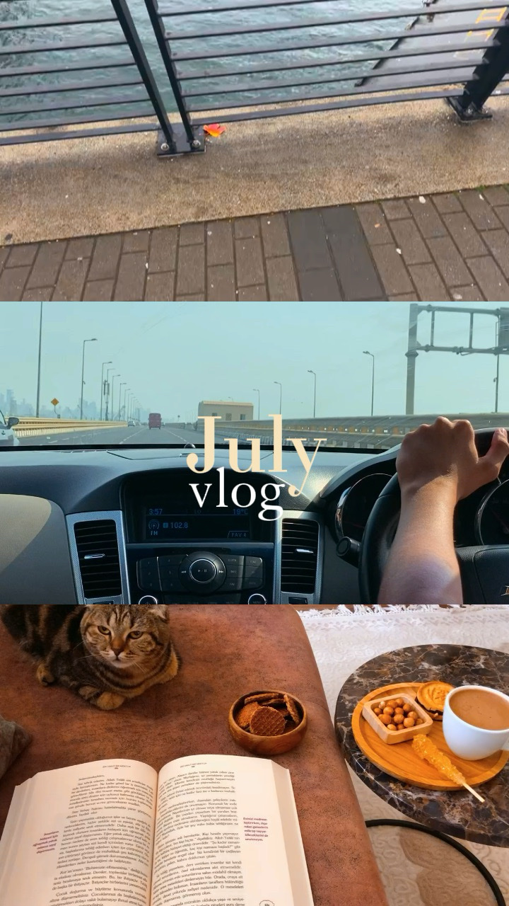 Vlog de julio 