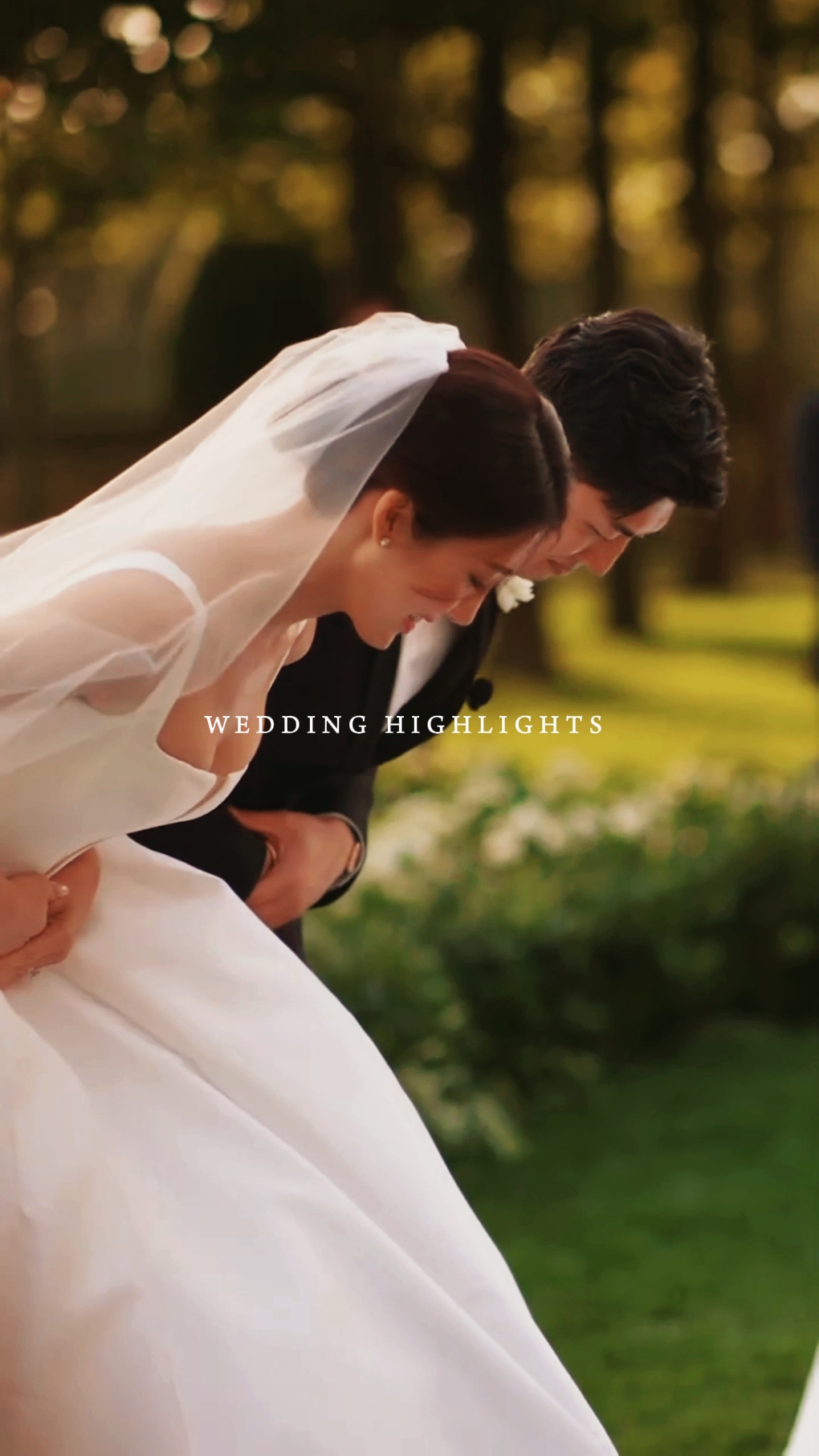 Wedding highlights 