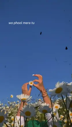 Finding her female 