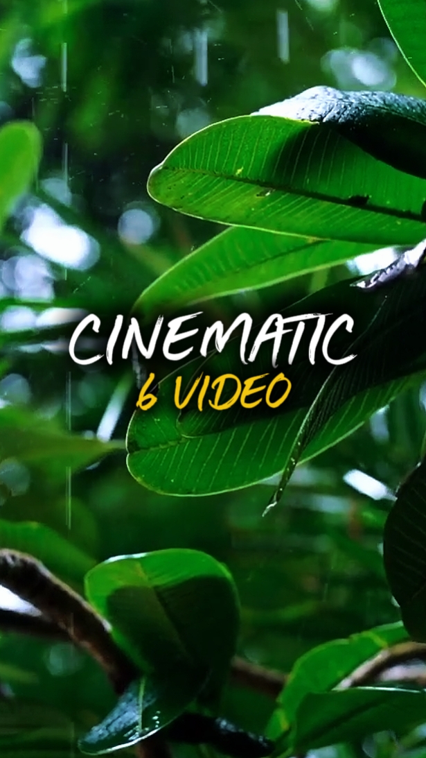 6 Clips Video 