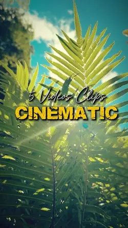 Cinematic 5 Videos