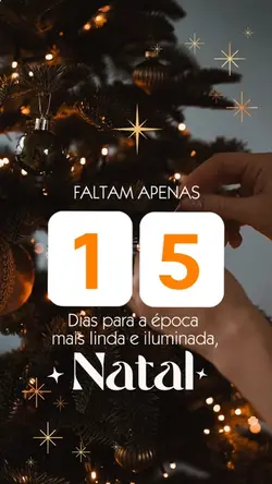 FALTAM 15 dias 