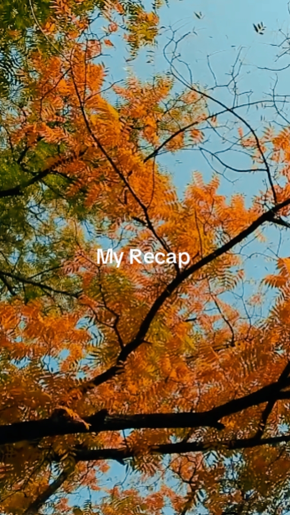 Ny Rekap 
