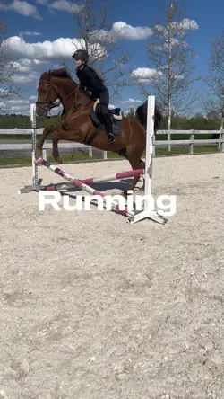 Horse edit 🐎💗 