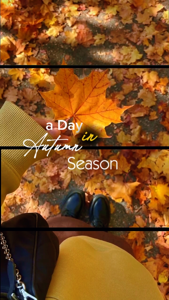Autumn Season