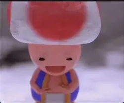 Toad