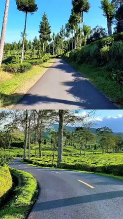 2 video 1 frame