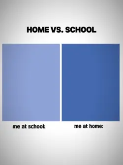 home vs school 