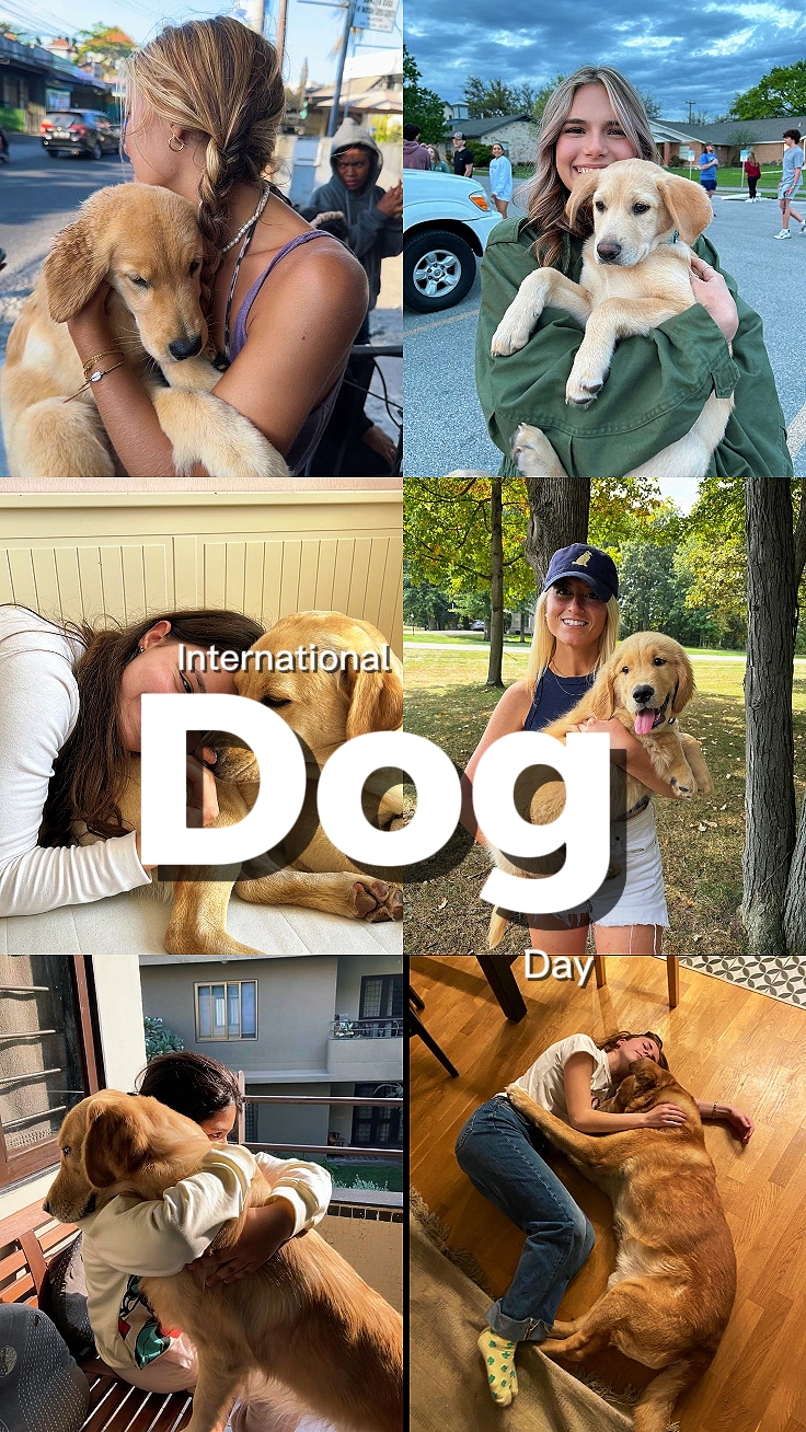 International Dog Da