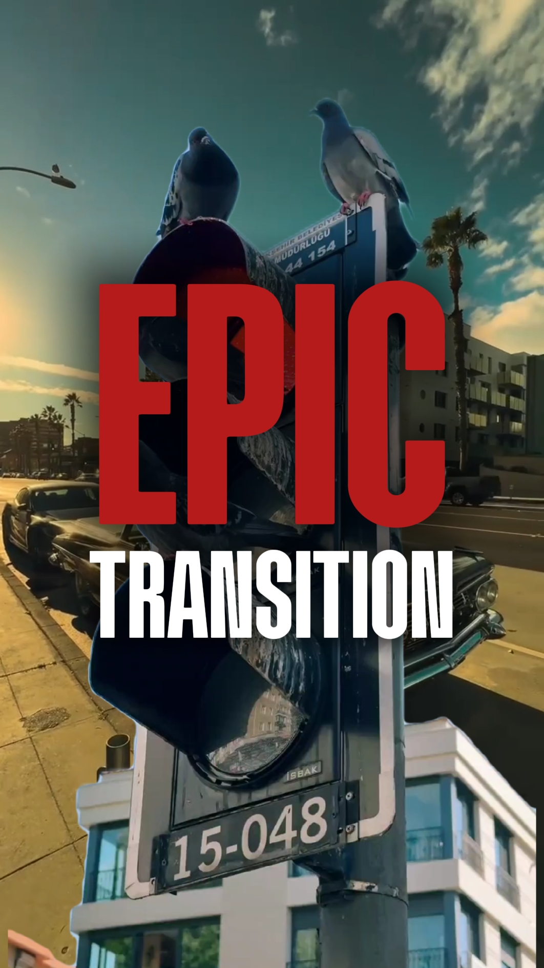 epic transition 