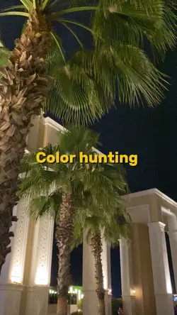 Color hunting 