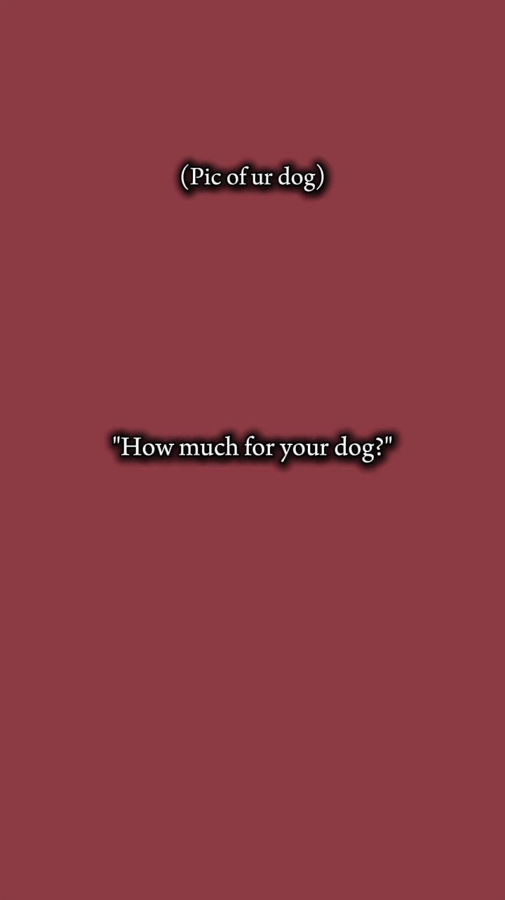 Hund