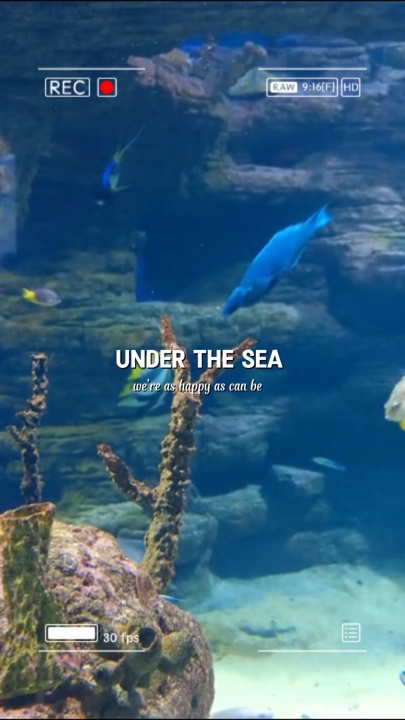Sous la mer 