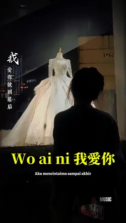 我愛你 Wo ai ni