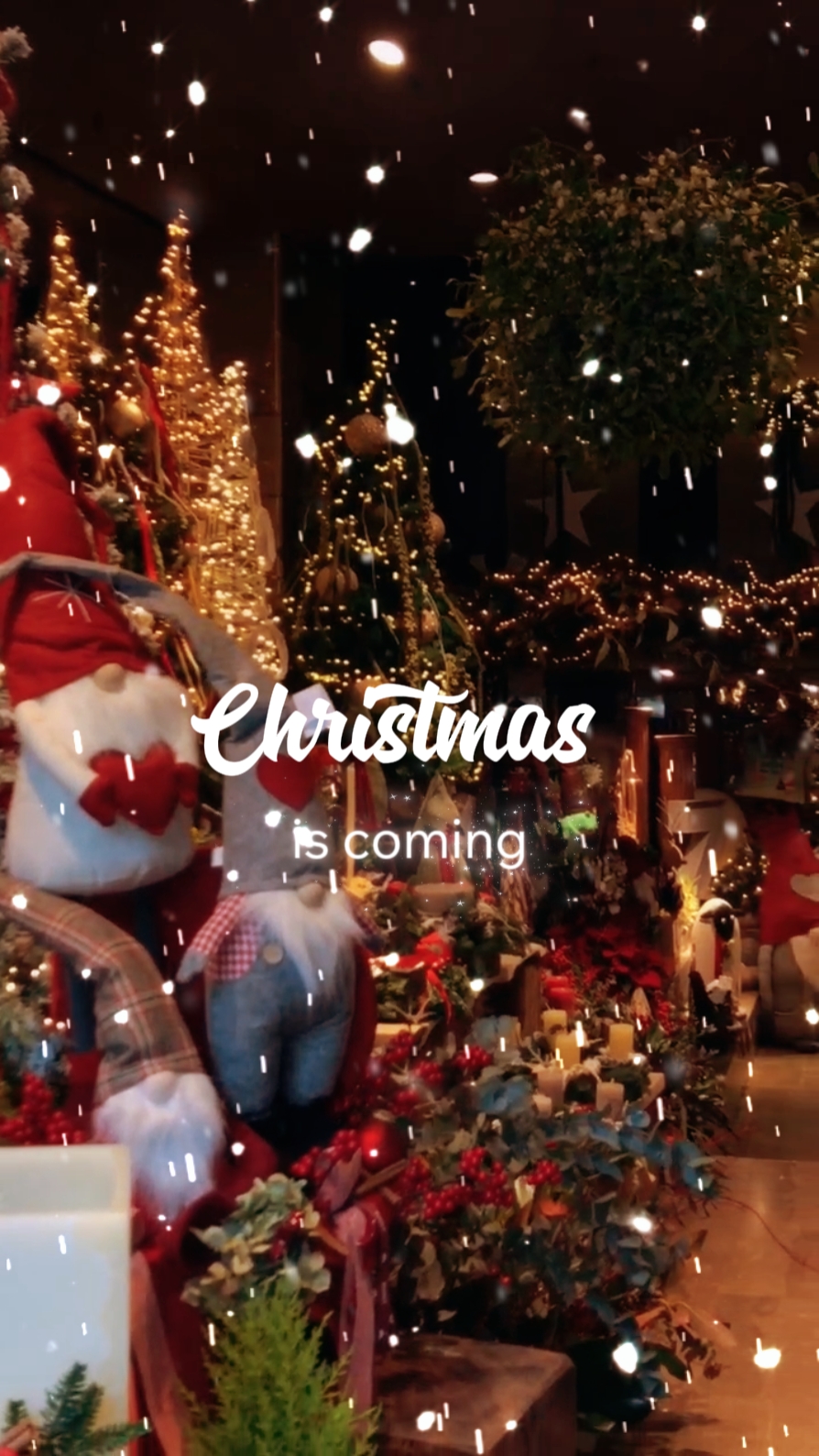 O Natal está chegando