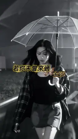 若你未曾來過