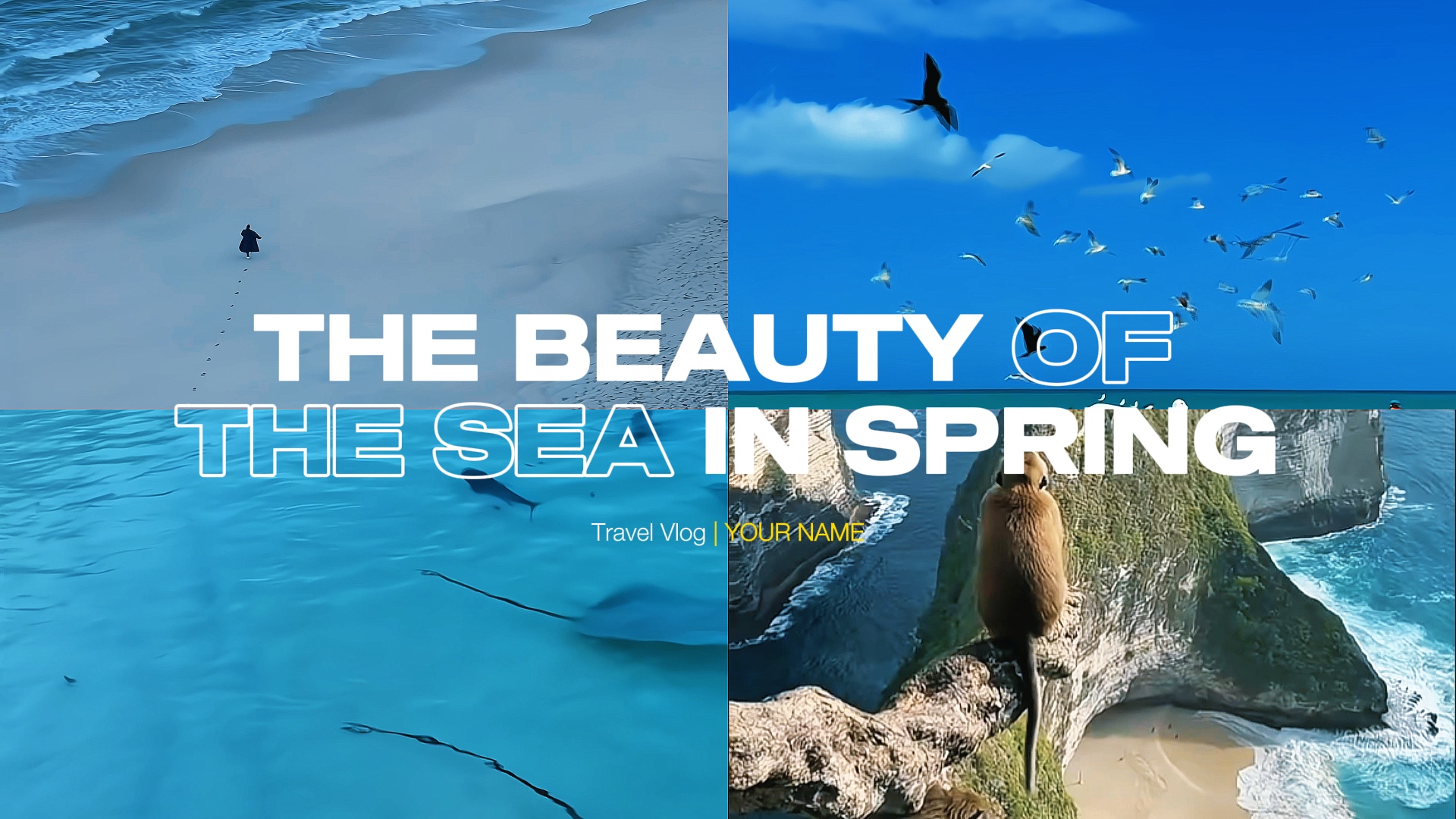BEAUTÉ DANS LA MER