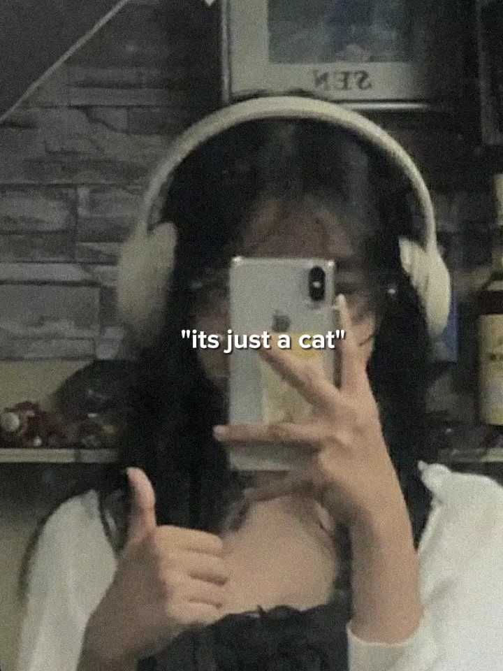 o sadece bir kedi