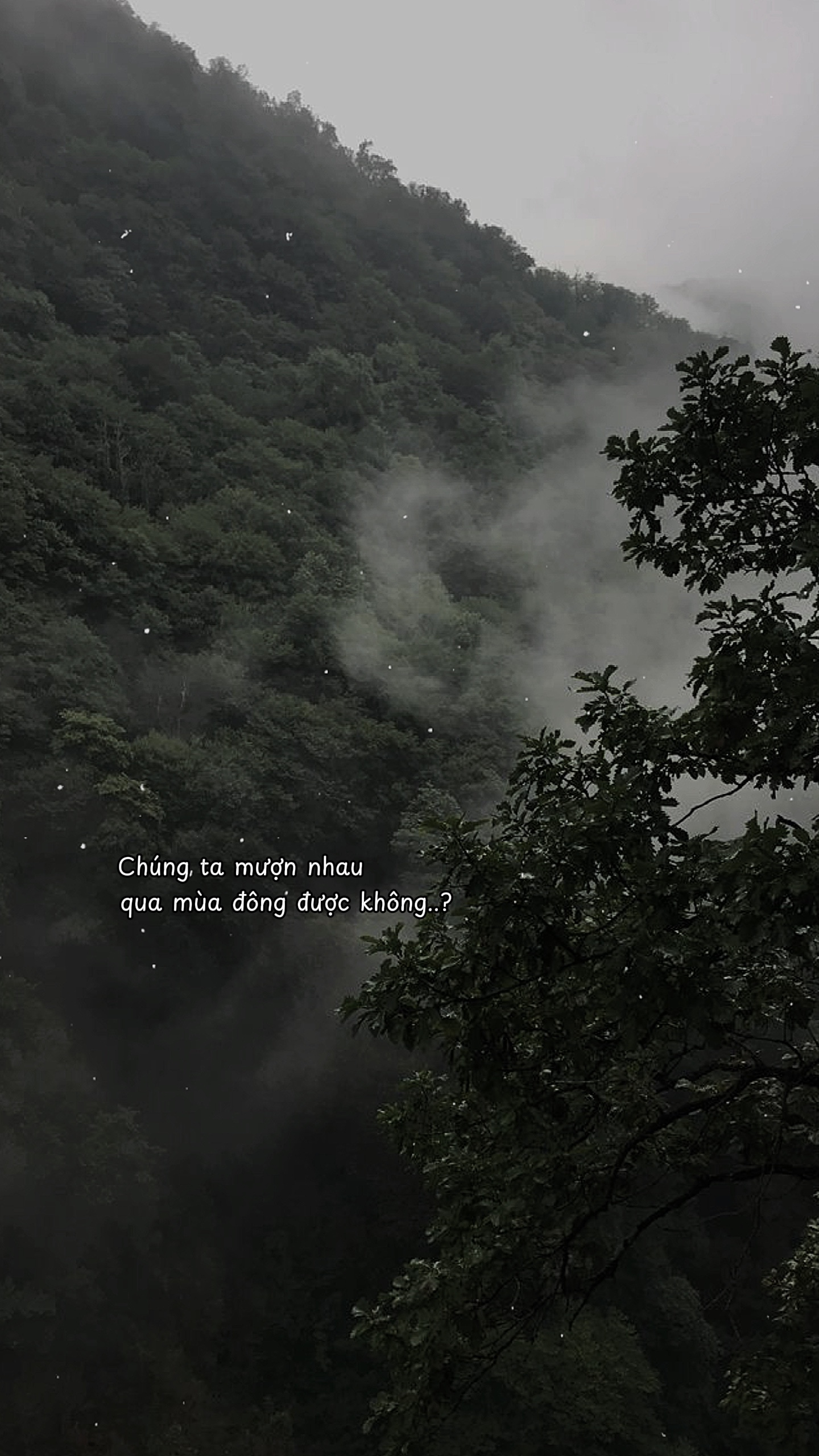 Cap & màu