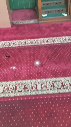 maulid nabi 5 video
