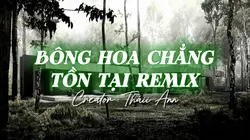 MẪU 2 ẢNH NGANG CUỐN