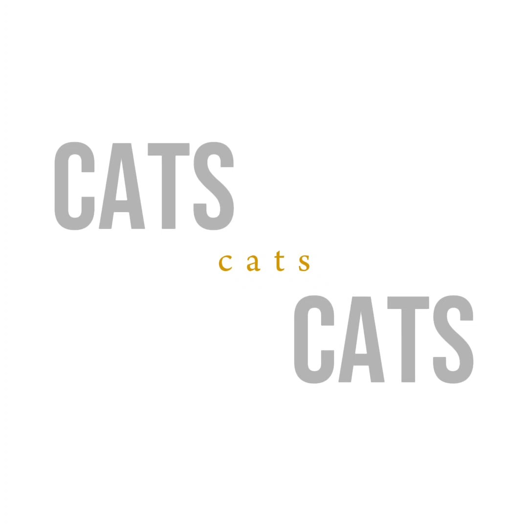 The name is cats