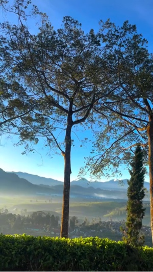 3 videos de viaje