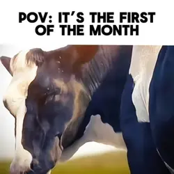First of the month 