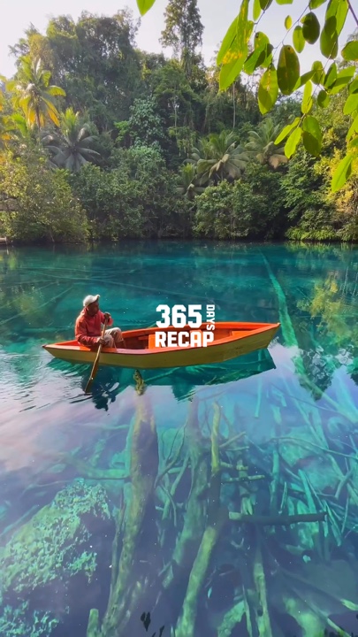 365 days recap