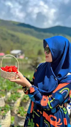Video Alam Estetik