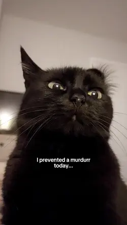 Self control