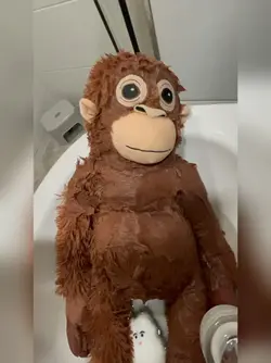뽜뽜뽜빠빠빠빠빠바