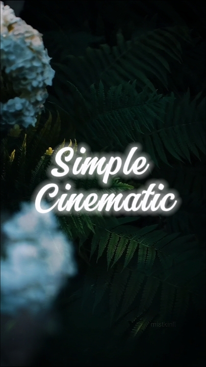 5 CLIPS Cinematic 