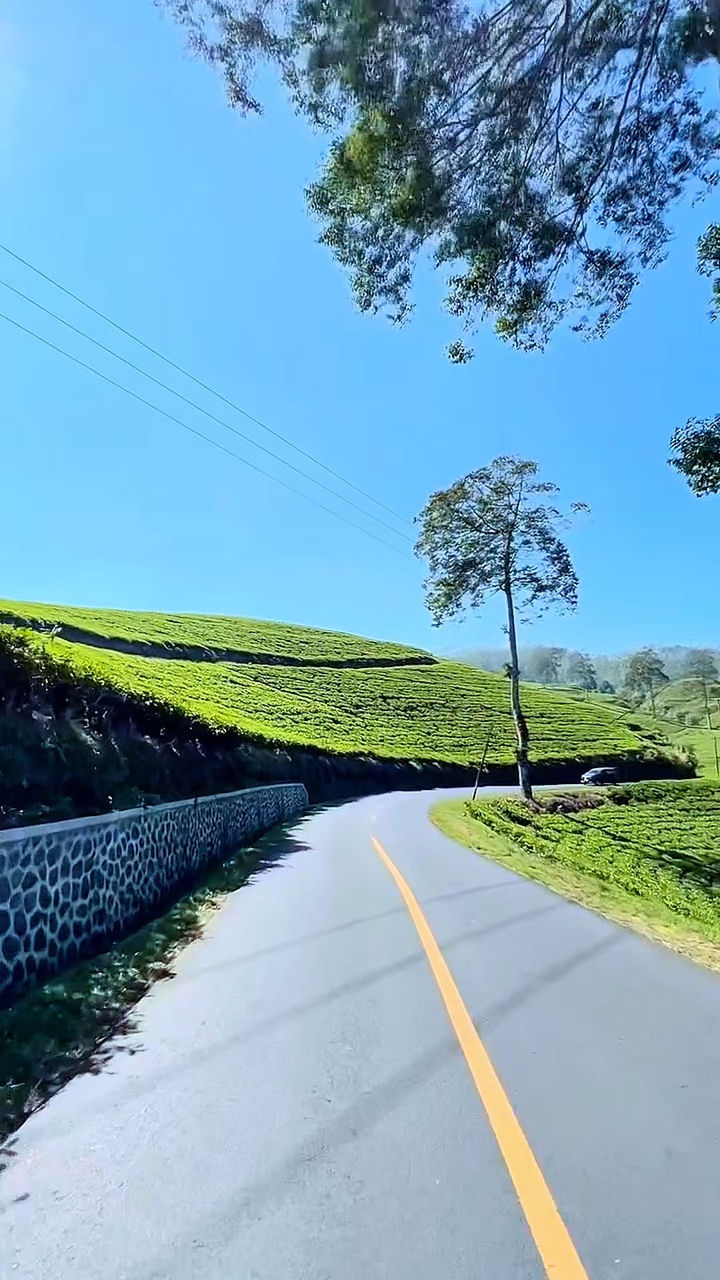 Viaje por carretera