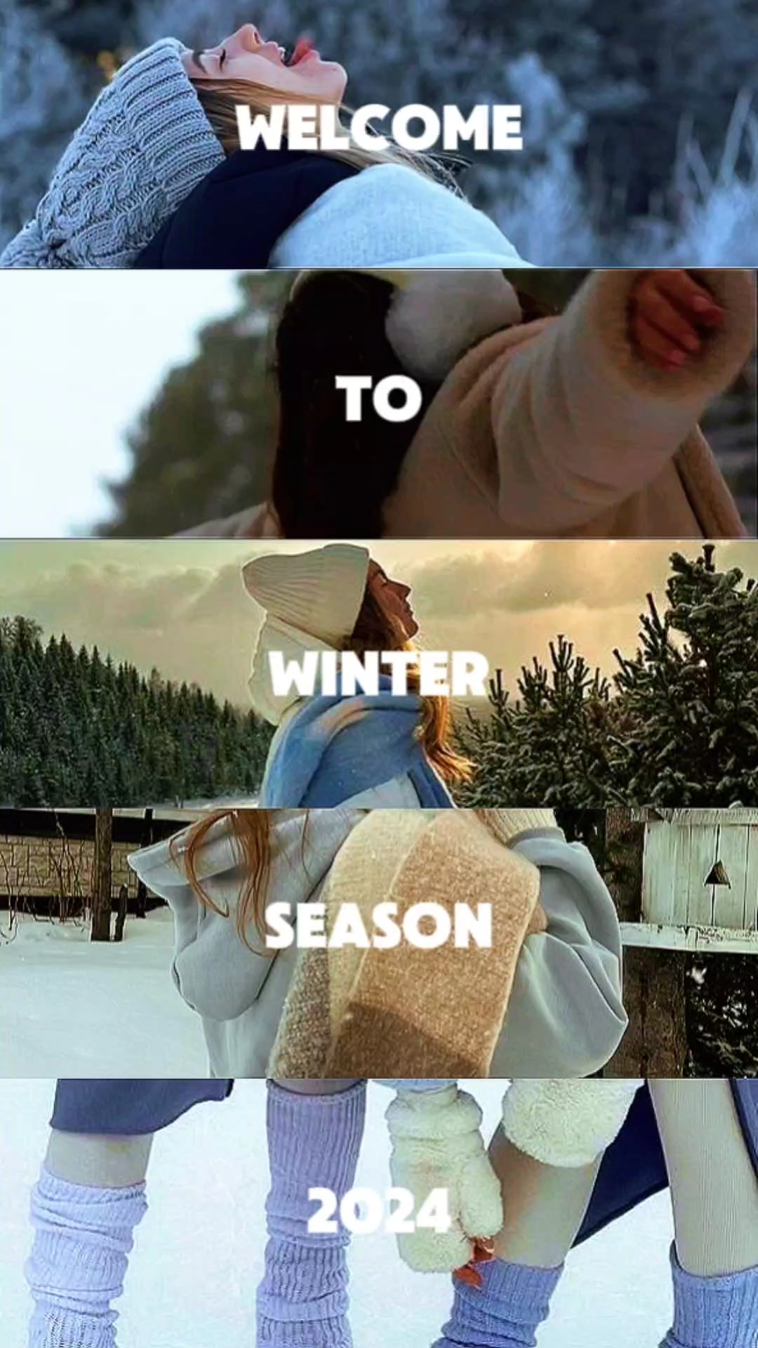 winter 6 photo