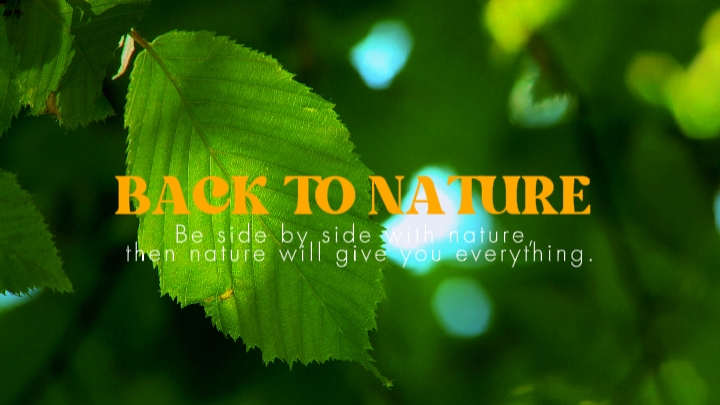 Bumalik sa kalikasan 