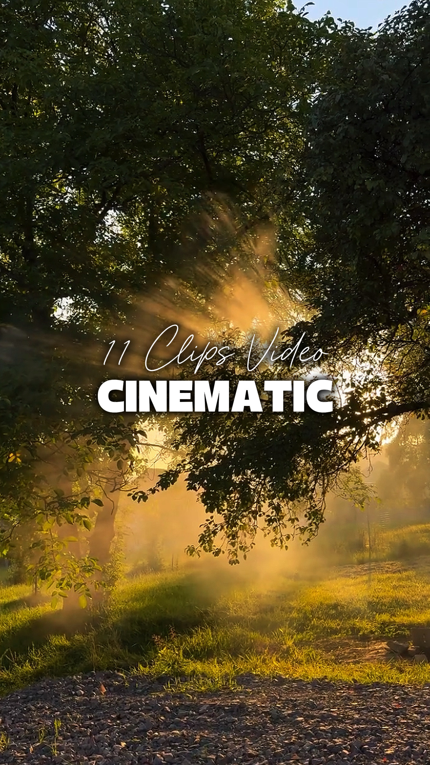 11 Videos Cinemáticos 